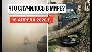 Катаклизмы за день ! 16 апреля 2020 ! cataclysms of the day ! в мире ! событие дня ! Пульс Земли.