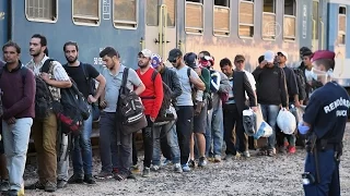 120 тыс. мигрантов распределят по странам ЕС (новости)