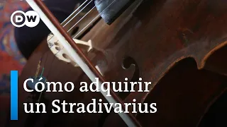 Stradivari, Goffriller, Bergonzi, Guarneri: ¿cómo consiguen los músicos estos costosos instrumentos?