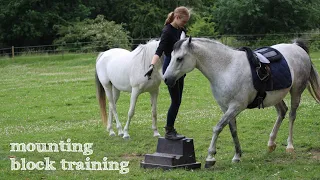 [Force-FREE] starting a horse under saddle - part 1: mounting block training