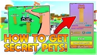 How to Get Secret Pets! (Plank & Rubik) | Yeet a Friend!