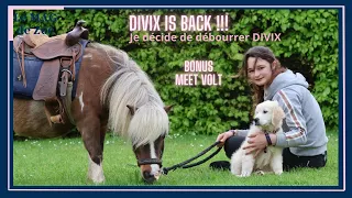 Le MAG de Zoé : DIVIX IS BACK ! je décide de débourrer Divix