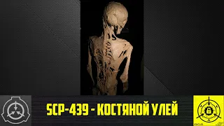 SCP-439 - Костяной улей    【СТАРАЯ ОЗВУЧКА】