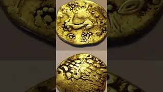 Gold coins found inside a cow bone #find #news