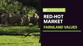 Red-hot market for Australian farmland leaving first-time buyers locked out | Landline