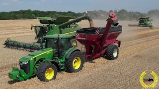 Weizenernte | 2 X John Deere S 780i | John Deere 8R | Horsch Überladewagen | Agrotruck