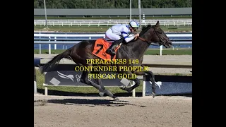 PREAKNESS 149 CONTENDER PROFILE - TUSCAN GOLD