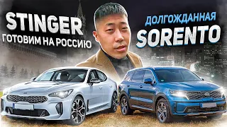 Авто продажи в Корее. Готовим авто на экспорт. Stinger | Santa Fe | Sorento | Morning.