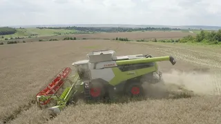 LEXION 7700 на полях ПП "Агрофірма Лугове".