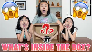 WHAT'S IN THE BOX Challenge WINS IDR 500.000 w/ GWEN KATE FAYE