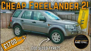 I BOUGHT A CHEAP, HIGH MILEAGE, LAND ROVER FREELANDER 2 AT AUCTION