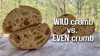 WILD CRUMB or EVEN CRUMB: How to get them. | By JoyRideCoffw