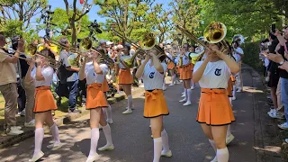 【京都橘高等学校吹奏楽部】マーチングパレード in 2024となみチューリップフェア🌷　[Kyoto Tachibana High School Brass Band] Marching Parade