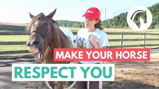 Horse Groundwork for RESPECT (Exercises That Work)