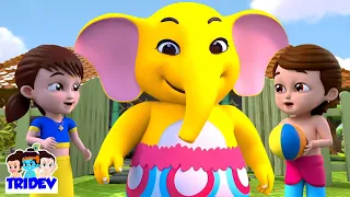 Hathi Raja, भोला भालू + Rhymes in Hindi and Kids Animation