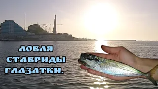 🛑ловля СТАВРИДЫ ГЛАЗАТКИ в чёрном море,Севастополь. rockfishing