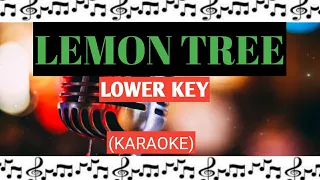 Lemon Tree - Fool's Garden  II  (LOWER KEY) KARAOKE