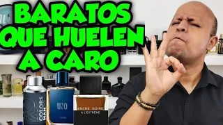 PERFUMES BARATOS que Huelen a CARO. Top 7