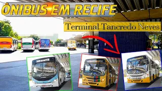 #035 - Ônibus em Recife - 035 - movimentação no terminal Tancredo Neves
