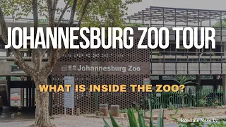 JOHANNESBURG ZOO TOUR | THINGS TO DO IN JOHANNESBURG SOUTH AFRICA