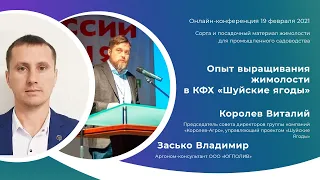 Опыт выращивания жимолости в КФХ “Шуйские ягоды”. Королев В.В., Засько В.А.