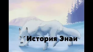 История Энаи