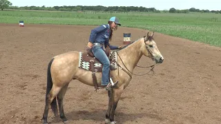 Ashley Schafer Riding Hindquarters