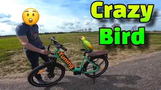 Dieses EBIKE ist CRAZY