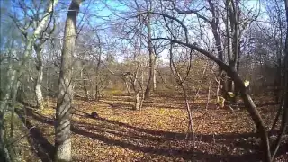 Hunting Woodcock (Beccaccia) in Georgia 2015 ნადირობა ტყის ქათამზე - ნამია 2015