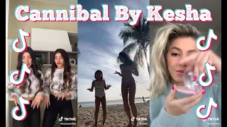 Cannibal By Kesha | 100% IN SYNC TIKTOK COMPILATION