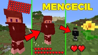 Minecraft Tapi Tiap Kita Kena Damage KITA MENGECIL !