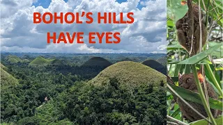 Bohol-d The Greatness Of This Island | Chocolate Hills, Forests, Bridges and Tarsiers