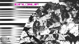 Gaudium - Go Nutz