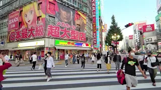 Walk in Shinjuku, Tokyo, Japan @8K 360° VR / Sep 2020