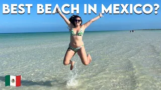 Why is nobody talking about this place in Mexico?! 🏝 Holbox | Mexico Travel Vlog 🇲🇽