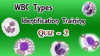 WBC Identification Training Quiz ( Part 2/3 )