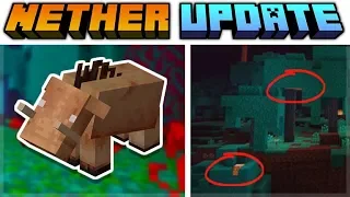 Minecraft 1.16 Nether Update | Piglin Beast Has A NEW Name