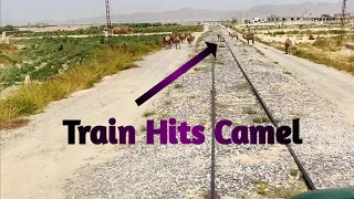 | Kuchlak and Bostan Junction | Train Hits Camel | 24th November 2019 | P.R |