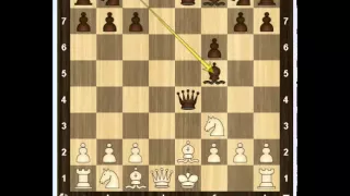 Уроки шахмат - Гамбит Дамиано 2