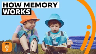 Why your first memory is probably wrong | BBC Ideas