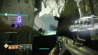 BIG Vex Offensive glitch