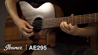 Ibanez AE295 Acoustic Guitar