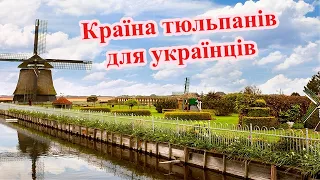 Українці у Нідерландах: житло, робота та послуги