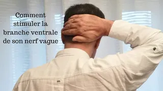 Comment stimuler la branche ventrale du nerf vague