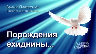 Вадим Плахотнюк Порождения ехиднины