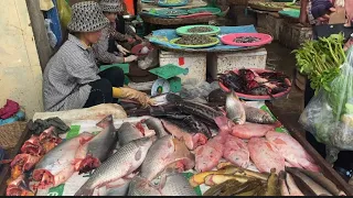 Market tour in SiemReap Cambodia.plenty of fish for sale & more