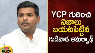 Gudivada Amarnath Reveals Facts About YCP Defeat | AP Political News | YCP Latest News | Mango News