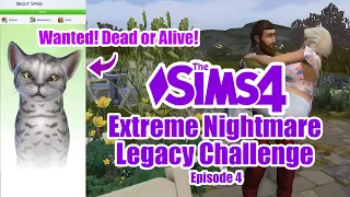 Struggling to adopt a cat for 20 minutes straight in The Sims 4 / Extreme Nightmare Legacy Challenge