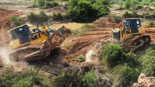 Amazing Techniques Operator Skills Dozer Shantui Push Soil & Clearing Forestry Of Process Filling up