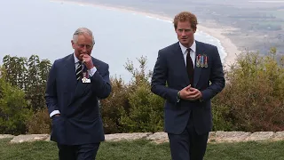 ‘Very fleeting’: Prince Harry’s meeting with King Charles ‘speaks volumes’ about diagnosis